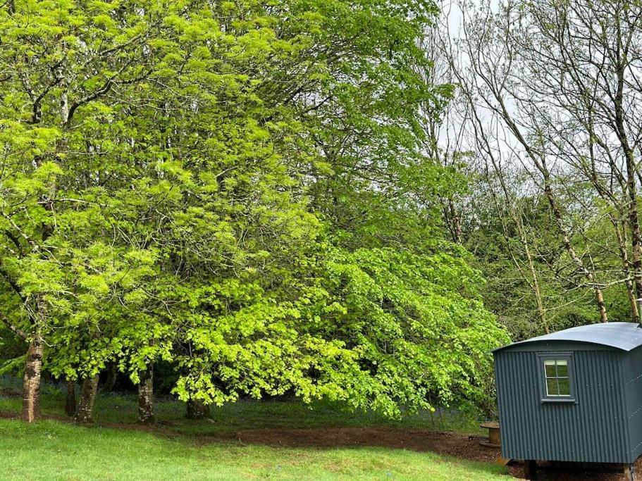 Cornwall Woodland Shepherd'S Hut Deirdres Hut Bodmin Esterno foto