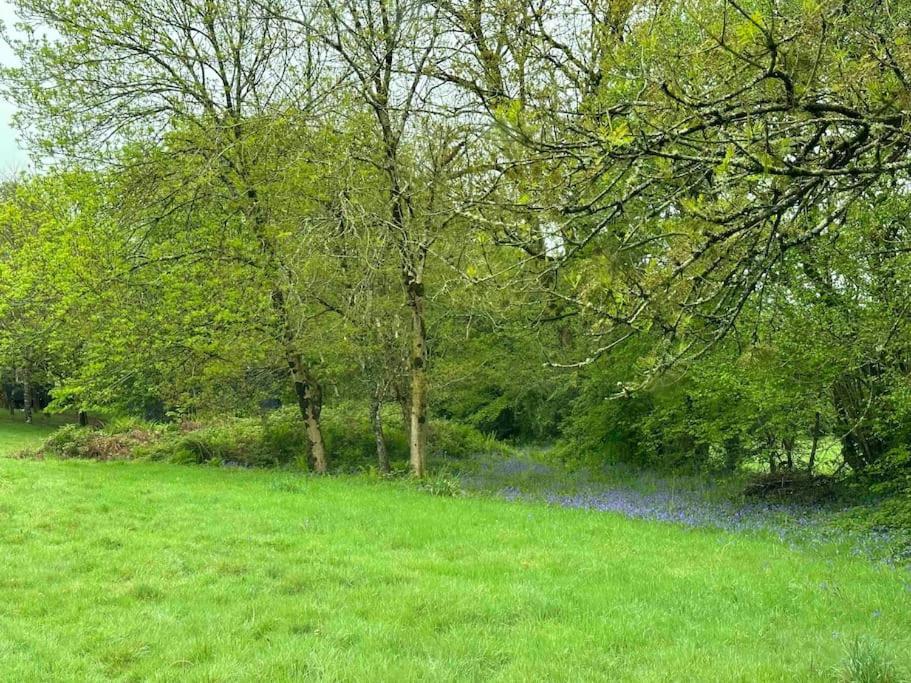 Cornwall Woodland Shepherd'S Hut Deirdres Hut Bodmin Esterno foto