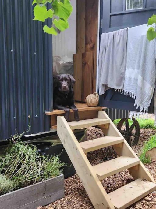 Cornwall Woodland Shepherd'S Hut Deirdres Hut Bodmin Esterno foto