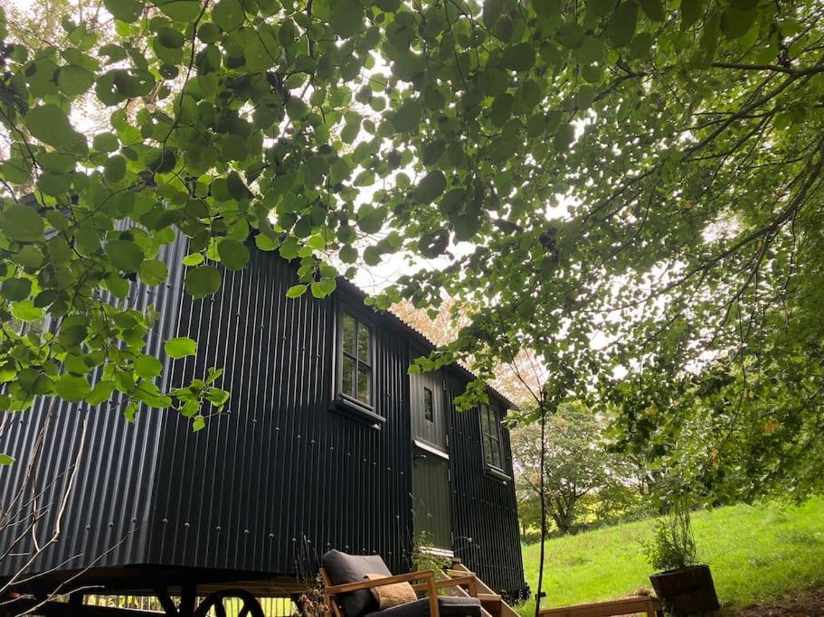 Cornwall Woodland Shepherd'S Hut Deirdres Hut Bodmin Esterno foto