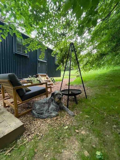 Cornwall Woodland Shepherd'S Hut Deirdres Hut Bodmin Esterno foto