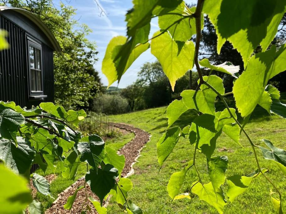 Cornwall Woodland Shepherd'S Hut Deirdres Hut Bodmin Esterno foto
