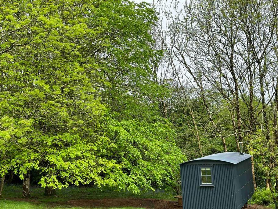 Cornwall Woodland Shepherd'S Hut Deirdres Hut Bodmin Esterno foto