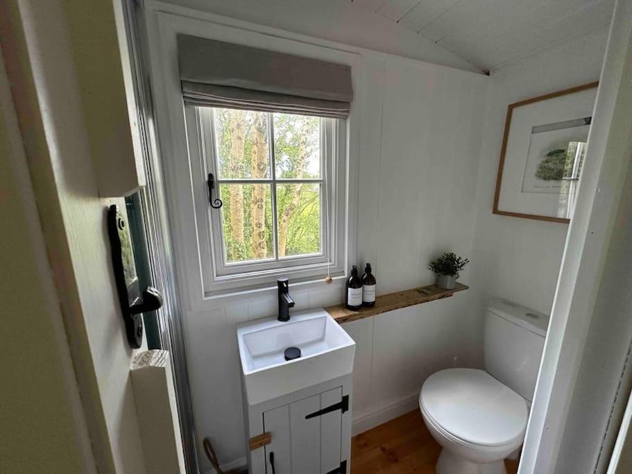 Cornwall Woodland Shepherd'S Hut Deirdres Hut Bodmin Esterno foto