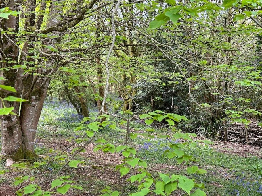 Cornwall Woodland Shepherd'S Hut Deirdres Hut Bodmin Esterno foto